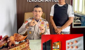 1db5b7f8-453c-4e35-b819-56a55b6dd67c