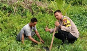 726af237-2bed-4bda-8872-dbabda410bfd